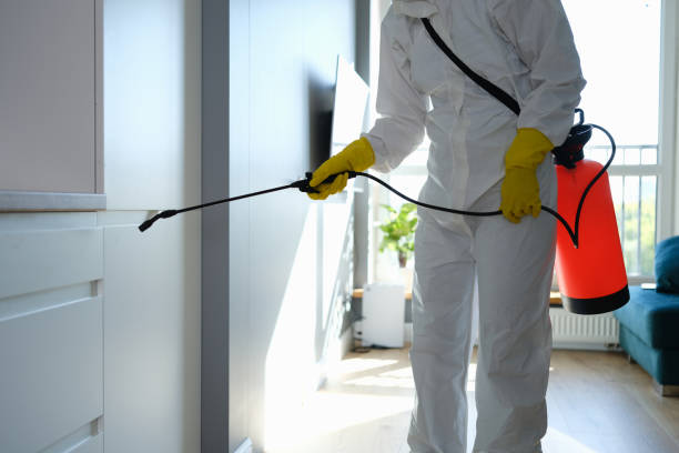 Mold Testing and Removal in Aspen Hill, MD