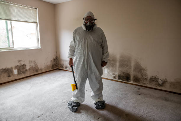 Best Black Mold Removal  in Aspen Hill, MD